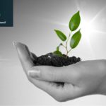 clean-energy-council